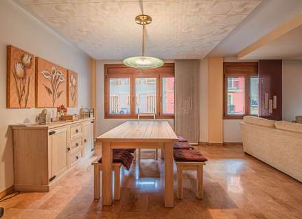 Pis al cor de Figueres0