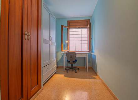 Pis al cor de Figueres19