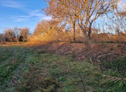 Gran terreny rústic a Peralada.15