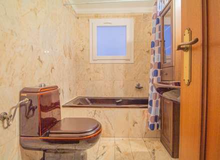 Pis al cor de Figueres20