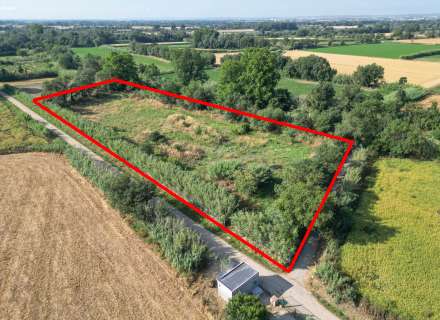 Gran terreny rústic a Peralada.3