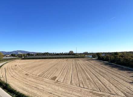Àtic dúplex amb terrassa i pàrquing envoltat de natura.35