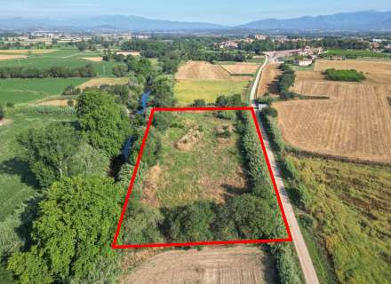 Gran terreny rústic a Peralada.7