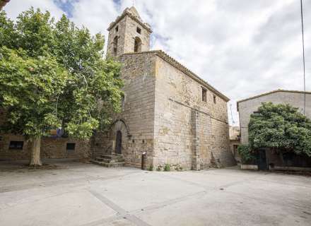 Casa del segle XIX amb ampli terreny a Palau de Santa Eulalia43