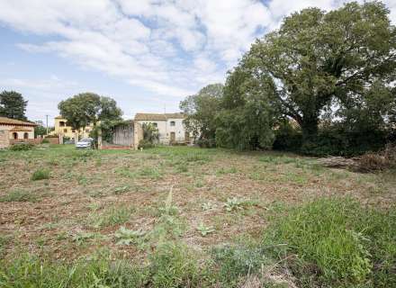 Casa del segle XIX amb ampli terreny a Palau de Santa Eulalia39