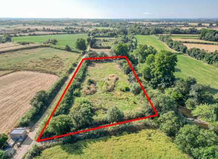 Gran terreny rústic a Peralada.10