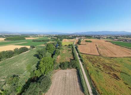 Gran terreny rústic a Peralada.11