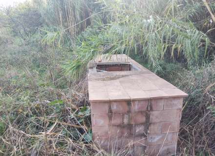 Gran terreno para plantar viñedos.0