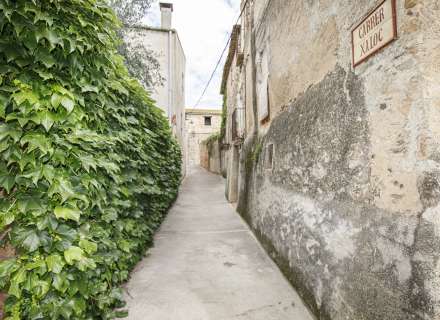 Casa del segle XIX amb ampli terreny a Palau de Santa Eulalia41