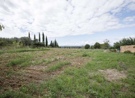 Casa del segle XIX amb ampli terreny a Palau de Santa Eulalia38
