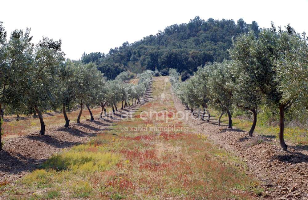 Gran parcel·la doble de 1604m2 per construir la teva casa amb piscina i perfecte jardí. Una oferta especial!20