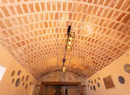 Masia spectaculaire59