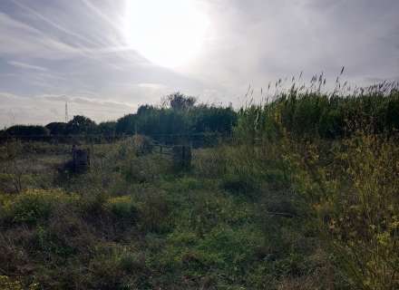Gran terreno para plantar viñedos.7