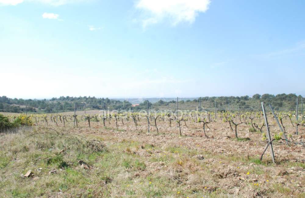 Construisez la maison de vos rêves. Ne manquez pas cette opprotunité!15