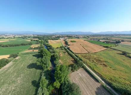 Gran terreny rústic a Peralada.12