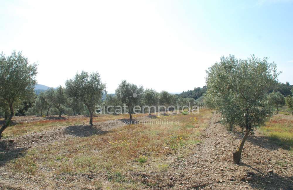 Construisez la maison de vos rêves. Ne manquez pas cette opprotunité!16