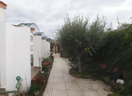 Casa amb jardí i dos apartaments.16