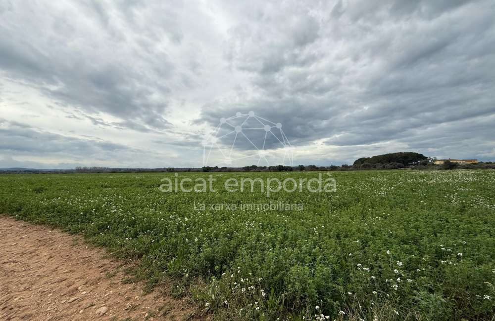 Es ven ampli terreny rústic de seca de 25000 m6
