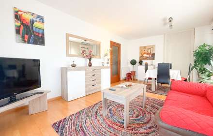 Appartement a vendre