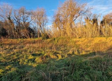 Gran terreny rústic a Peralada.14