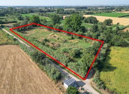 Gran terreny rústic a Peralada.1