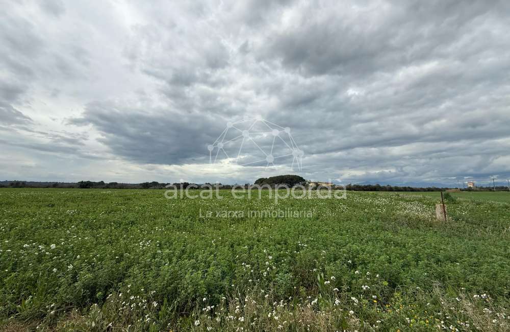 Es ven ampli terreny rústic de seca de 25000 m8