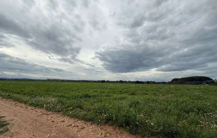 A vendre grand terrain sec de 25000 m