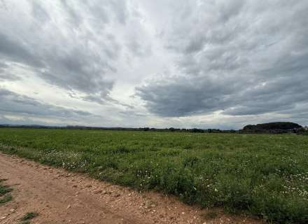 Es ven ampli terreny rústic de seca de 25000 m0