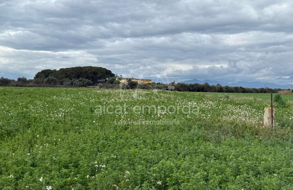 Es ven ampli terreny rústic de seca de 25000 m2