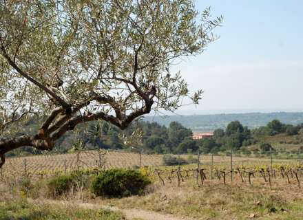 Grand terrain double de 1604m2 pour construire votre maison avec piscine et jardin parfait. Une offre spéciale !18