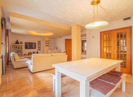 Pis al cor de Figueres4