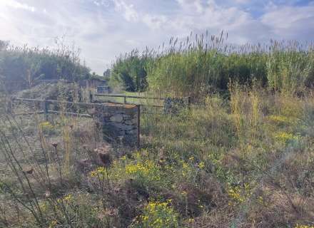 Gran terreno para plantar viñedos.12