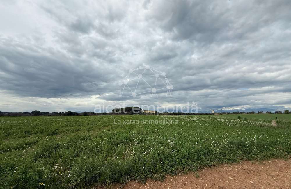 Es ven ampli terreny rústic de seca de 25000 m9