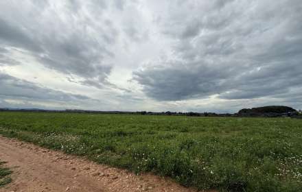 Se vende amplio terreno rústico de secano de 25000 m
