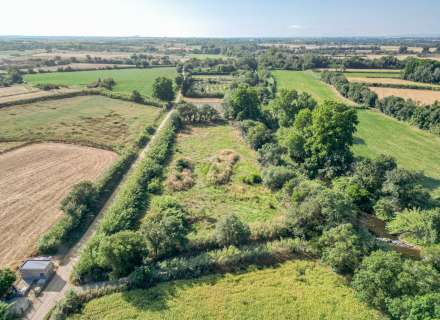 Gran terreny rústic a Peralada.13