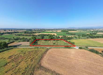 Gran terreny rústic a Peralada.5