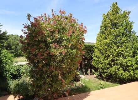 Appartement à 300m de la plage à Sant Carles20