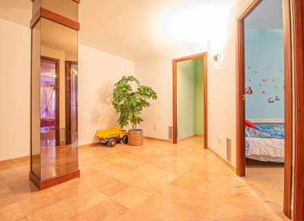 Pis al cor de Figueres11