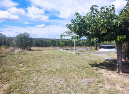 Terreny agrari de 20.144 m² amb caseta de 147 m² legalitzada.12