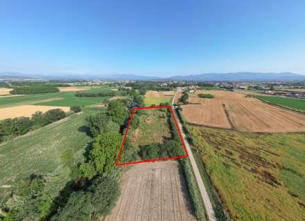 Gran terreny rústic a Peralada.8