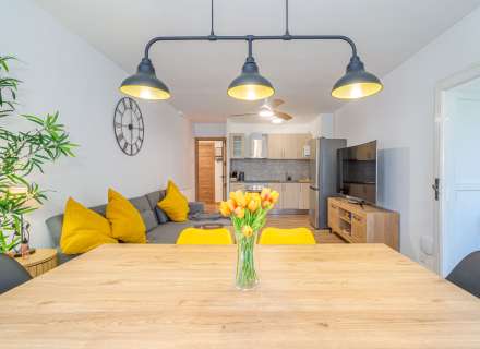 Apartment with tourist LICENSE AND PARKING13