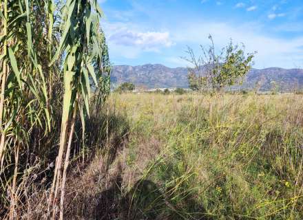 Gran terreno para plantar viñedos.9
