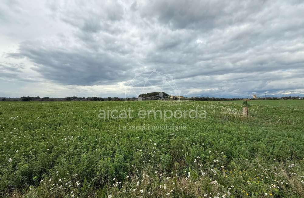 Es ven ampli terreny rústic de seca de 25000 m7