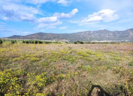 Gran terreno para plantar viñedos.13