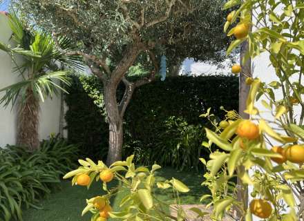 Encantadora casa de planta baja con jardín en l’Armentera5