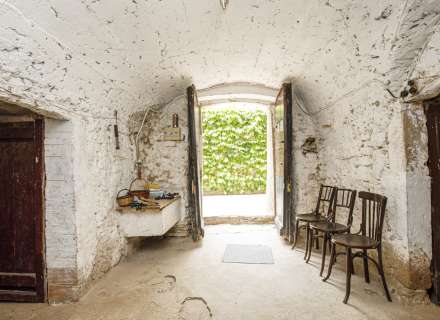 Casa del segle XIX amb ampli terreny a Palau de Santa Eulalia1