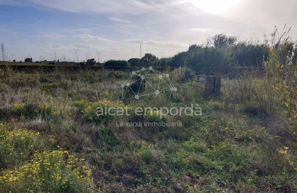 Gran terreno para plantar viñedos.10