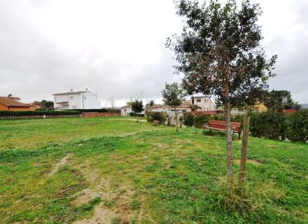 Parcel·la edificable de 800 m² a Garriguella3