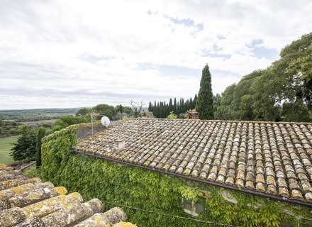 Casa del segle XIX amb ampli terreny a Palau de Santa Eulalia25