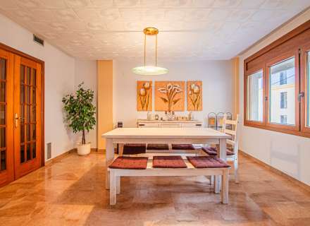 Pis al cor de Figueres2